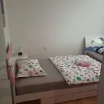 Rosa *